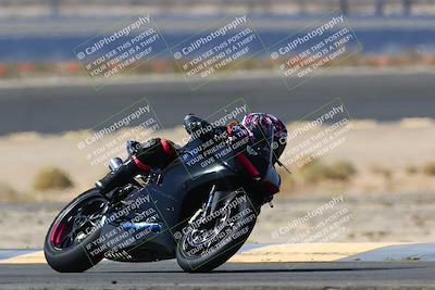 media/Apr-10-2022-SoCal Trackdays (Sun) [[f104b12566]]/Turn 14 (10am)/